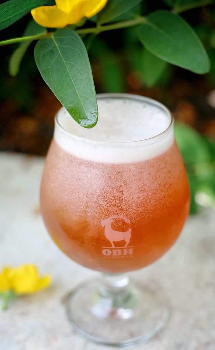 4th of July Beer Release Pink Lemonade Sour Ale Old Bust Head